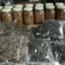 초록풍경 이미지