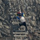 진상제방 이미지