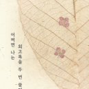 서삼이 새이전 경로당 | [독서후기] 『이 지랄맞음이 쌓여 축제가 되겠지』 - 조승리