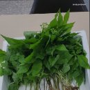 한아름실버케어센터 네이버블로그