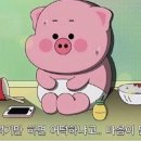 우리동네마카롱 - 파주시 헤이리마을길 26 | 우리동네마카롱