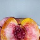 싸리재농장 이미지