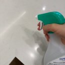 주방 살균소독제를 찾는다면 (주)비츄인 크린케어! 솔직후기