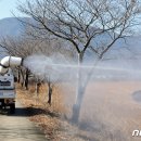 정윤미 농장 뉴스1