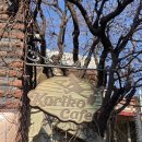 가좌역 | [홍대/가좌역] 지브리 감성 가득한 동화속 카페 코리코카페 내돈내산 후기