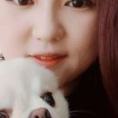 광주카클리닉 이미지