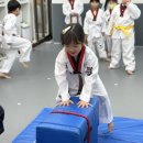 국가대표 한울태권도 이미지