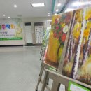 흰돌체육관 이미지