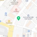 연수 삼산 Cory Gym | Highlight 김민서(연수 삼산) vs 정해영(태장 청학) 무에타이 신인왕전 시니어 여성 -48kg 결승/ 2026년...