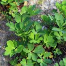 오작교농장 이미지