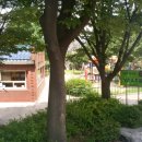 성결대학교 부속유치원 이미지