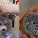 펫키지