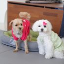 해빛5로 이미지