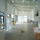 댕글라이프 이미지