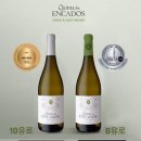 그린마트세탁 | 포르투갈 여행 후기 - 셋째날 ~ 넷째날(리스본에서 포르투로 이동, 와이너리 투어)