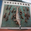 장생포고래로 이미지