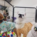 멍스 스쿨 이미지