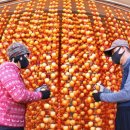 영동농장 이미지