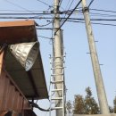 선들목장 네이버블로그