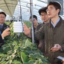 팜솔루션 이미지