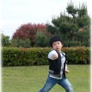 영재태권도체육관 이미지