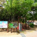 인천목장 이미지