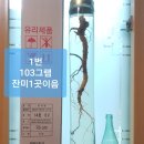 ♧♧코로나19관련♧♧사랑의 경매 이미지