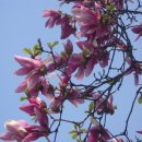 정심초등학교 이미지