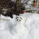 위촌리강릉하우스 이미지