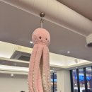 수원 곡반정동 맛집 &#39;쭈꾸미여왕&#39; 솔직 후기 + 하얀풍차 곡반점 방문기