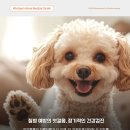 24시월드펫동물메디컬센터 이미지