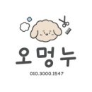 발리애견호텔 이미지