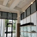 도레미캣 고양이분양 남양주 다산점 이미지