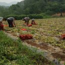 철원농장 이미지