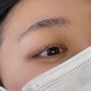 양주 옥정 속눈썹펌 메리로우 추천 후기 (내돈내산)