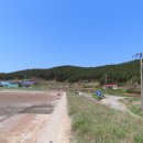 소금길 2코스 Daum카페