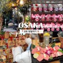 오사카 여행 기록-03 교토 당일치기 코스 (게이한패스, 청수사, 니시키 시장, 키디랜드, 지브리샵)