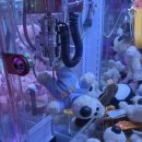 라라랜드(영통점) 이미지