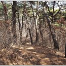 3월 시산제산행- 공주 마곡사 활인봉(423m) 이미지