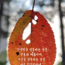 도운
