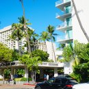 하와이호텔 이미지