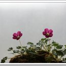 여성합창반 이미지