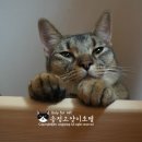 호텔 스미스 이미지