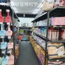 (주)야옹아멍멍해봐펫 강아지고양이 인천청라점 | 인천강아지분양 야옹아멍멍해봐펫 강아지고양이 인천청라점 관리상태 좋은 분양처