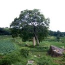 (주)지당 - 12907 | (주)지당