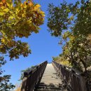 면목동-127 | 가을 등산 코스 | 용마산- 아차산 - 신토불이 떡볶이 - 버글러커피 아차산 | 11월 첫째주 단풍 현황...