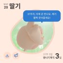 해랑달이랑 영농조합법인 | 임신 35주~37주 기록(38주엔 출산 예정)