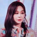 송진가루 이미지