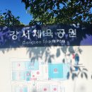 효돈축구공원 천연잔디구장 | 15분도시 부산 강서체육공원 축구연습장2 방문 후기