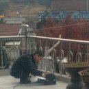 홍현남